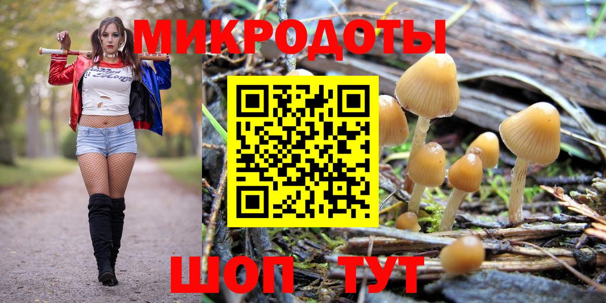Псилоцибиновые грибы ЛСД Шатура