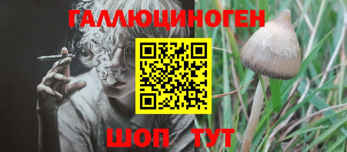 Шатура  Галлюциногенные грибы Psilocybine cubensis  Вход с VPN 